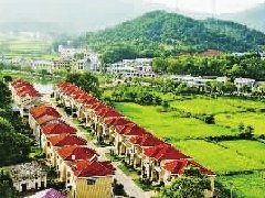 定了！今后梅州柚產業規劃 | 大埔新增7萬畝14鎮這樣發展