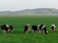 海南政府科研企業(yè)聯(lián)手，產(chǎn)業(yè)規(guī)劃目標2035年產(chǎn)果量26億個