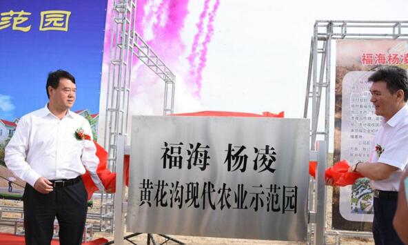 新疆福?？h攜手楊凌高新區(qū)打造中國高緯度農(nóng)業(yè)示范基地