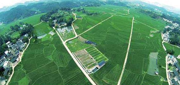 大健康事業是國家趨勢，現今走在前面的人，將是未來的主角！