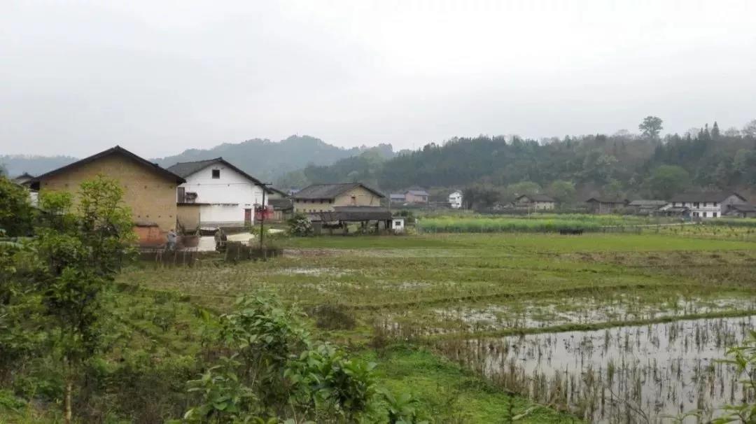 農村土地確權結束,沒登記的四荒地如何處理?