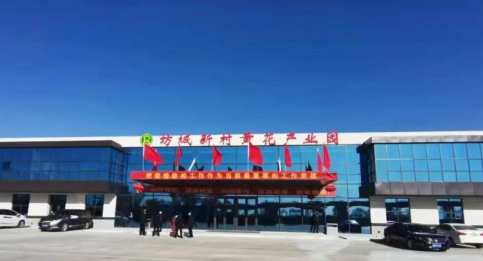 大同黃花，忘憂云州——云州區(qū)積極申創(chuàng)國家農(nóng)業(yè)現(xiàn)代化示范區(qū)