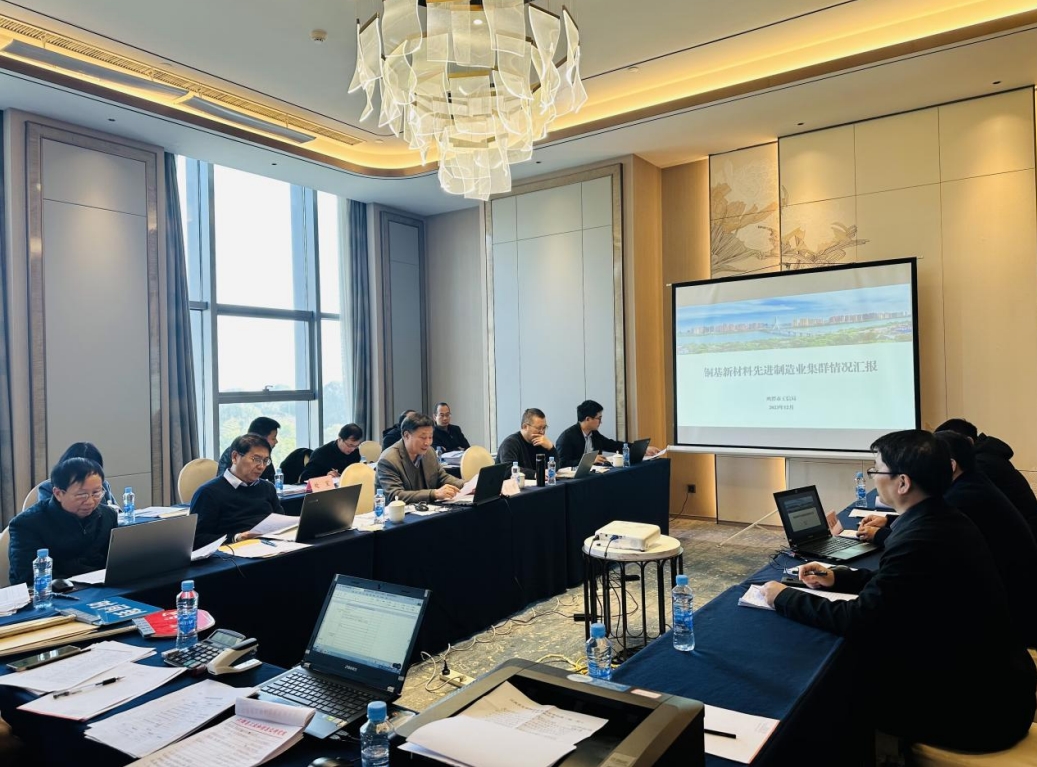 李文輝院長受邀參加江西省先進(jìn)制造業(yè)集群專家調(diào)研活動(dòng)