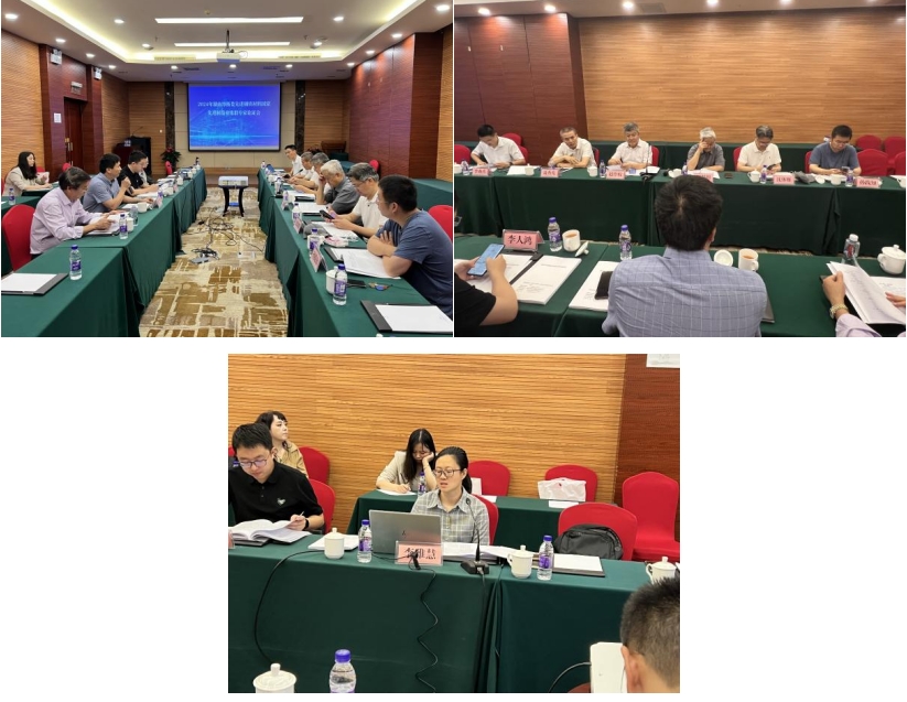 《培育發展湘潭市、婁底市、衡陽市先進鋼鐵材料集群實施方案》獲專家高度評價