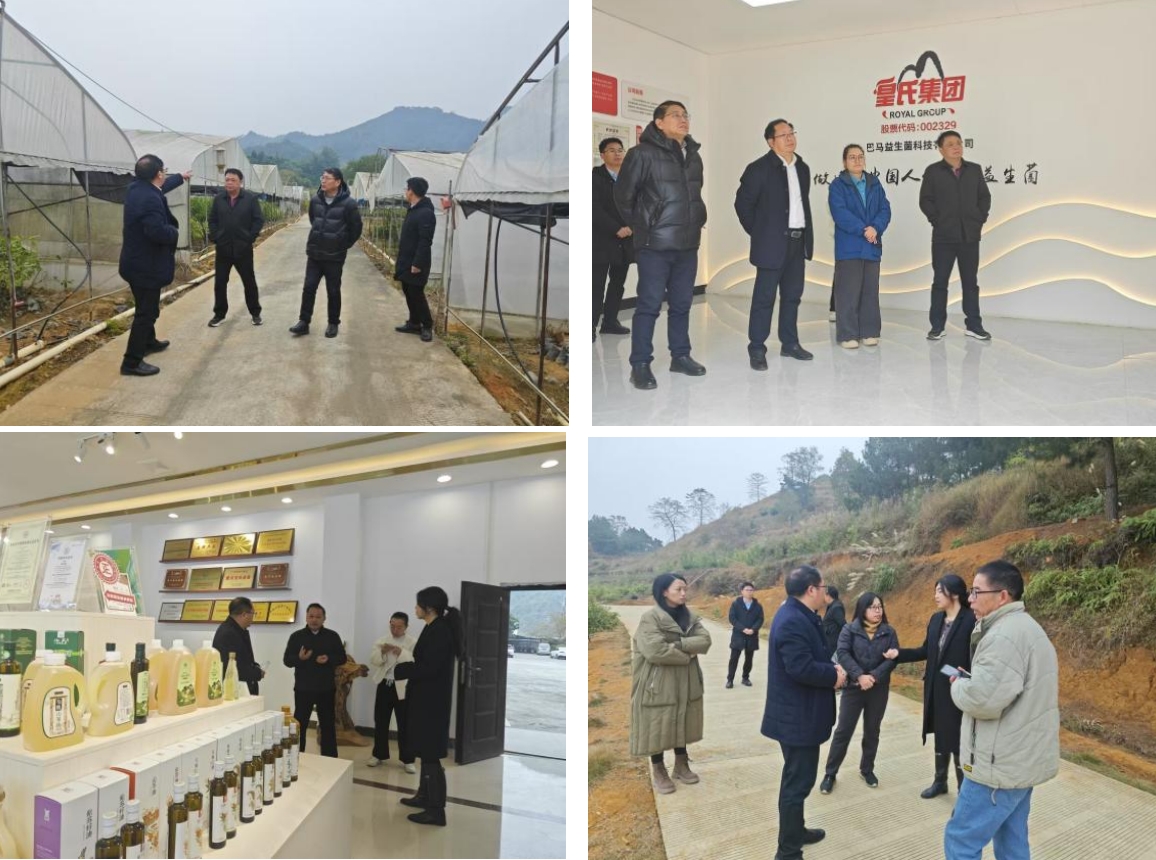 長壽之鄉，逐路之行——高新院專家組一行赴廣西巴馬瑤族自治縣開展河池農高區創建調研