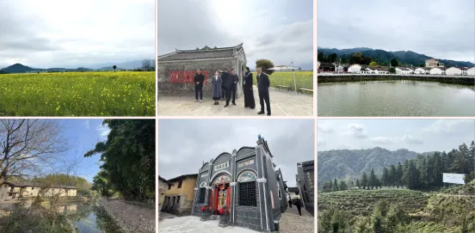 踏遍青山人未老 鄉村蝶變正當時——高新院攜手汝城擘畫“五好兩宜”和美鄉村新畫卷