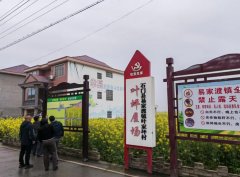 中國高新院妙筆繪藍圖 易家渡鎮擘畫鄉村振興新畫卷